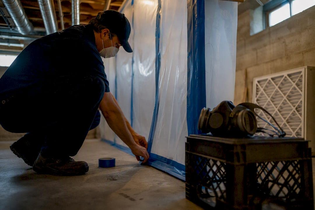 Mold Remediation Commercial: What Property Managers Must Do