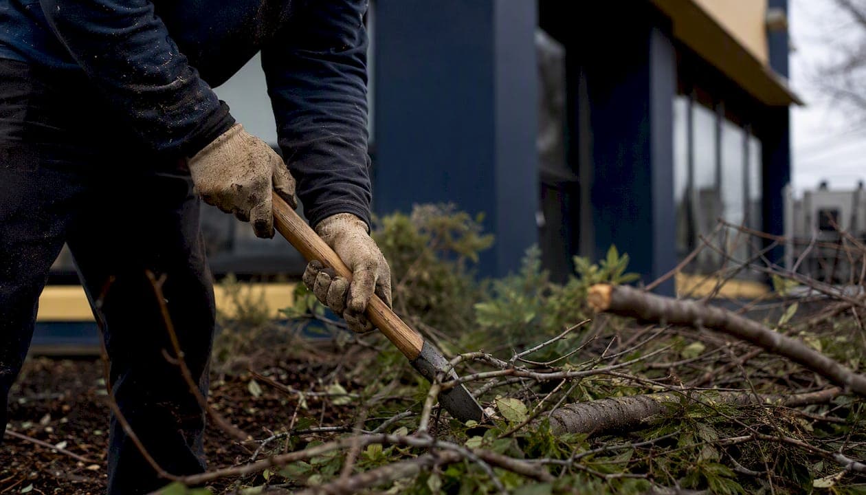 Storm Damage Cleanup: What to Do First and Why It Matters