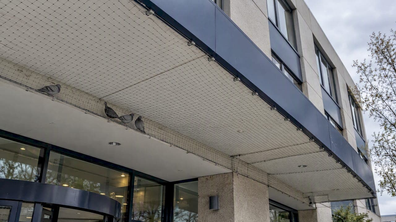 Bird Control Netting for Commercial Buildings: A Facility Manager's Guide